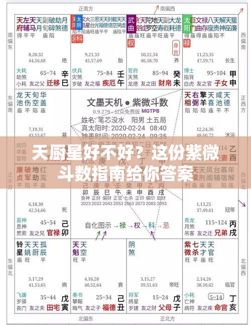 天厨星好不好？这份紫微斗数指南给你答案