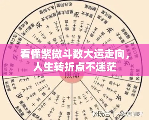 看懂紫微斗数大运走向，人生转折点不迷茫