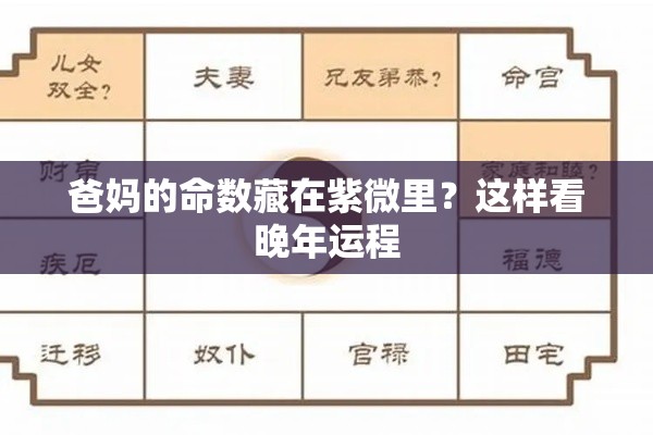 爸妈的命数藏在紫微里？这样看晚年运程