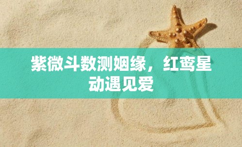 紫微斗数测姻缘，红鸾星动遇见爱