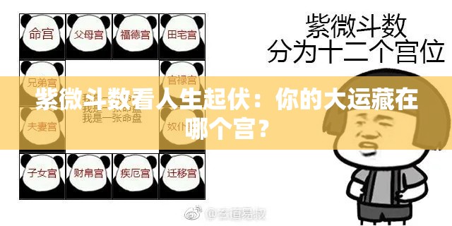 紫微斗数看人生起伏：你的大运藏在哪个宫？