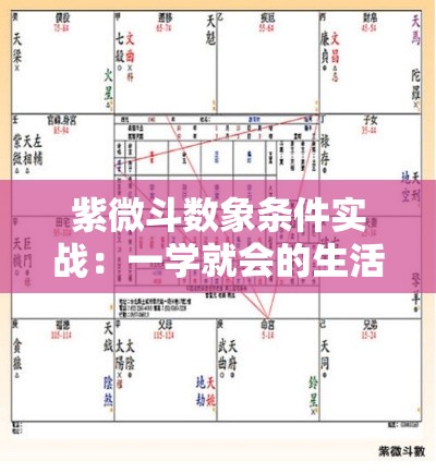 紫微斗数象条件实战：一学就会的生活指南