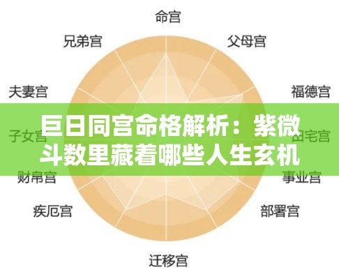 巨日同宫命格解析：紫微斗数里藏着哪些人生玄机？