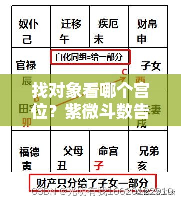 找对象看哪个宫位？紫微斗数告诉你配偶在哪