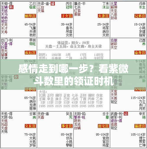 感情走到哪一步？看紫微斗数里的领证时机