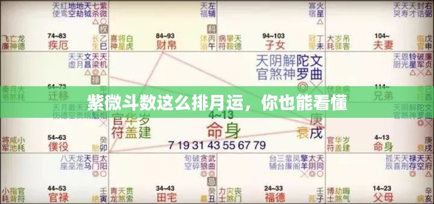 紫微斗数这么排月运，你也能看懂
