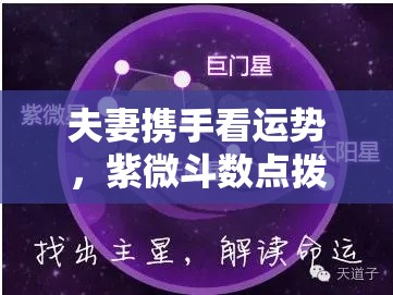 夫妻携手看运势，紫微斗数点拨人生抉择