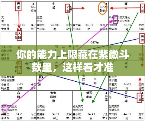 你的能力上限藏在紫微斗数里，这样看才准