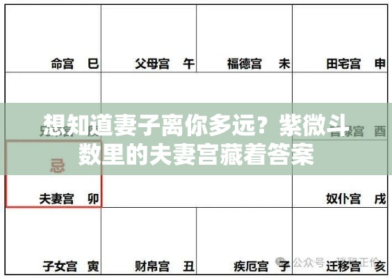 想知道妻子离你多远？紫微斗数里的夫妻宫藏着答案