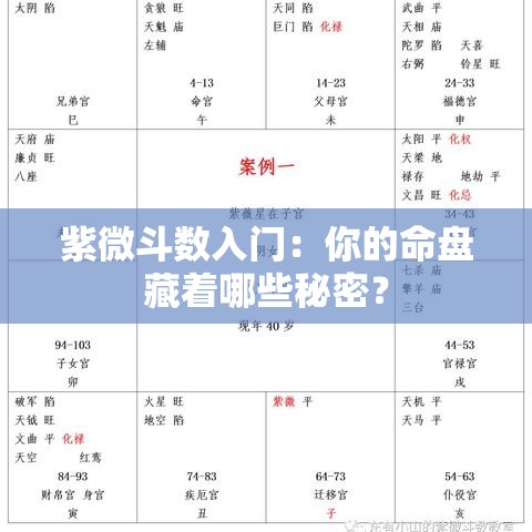 紫微斗数入门：你的命盘藏着哪些秘密？