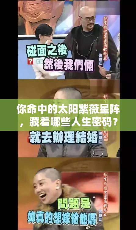 你命中的太阳紫薇星阵，藏着哪些人生密码？