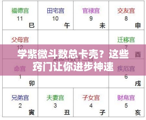 学紫微斗数总卡壳？这些窍门让你进步神速
