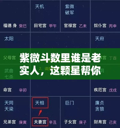紫微斗数里谁是老实人，这颗星帮你识破伪君子