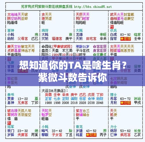 想知道你的TA是啥生肖？紫微斗数告诉你