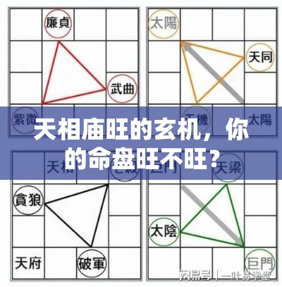 天相庙旺的玄机，你的命盘旺不旺？