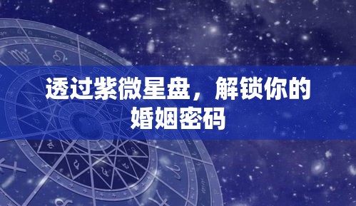 透过紫微星盘，解锁你的婚姻密码