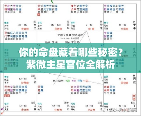 你的命盘藏着哪些秘密？紫微主星宫位全解析
