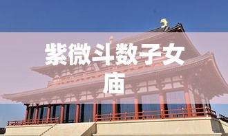 紫微斗数子女庙