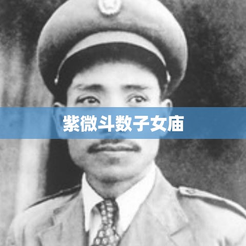 紫微斗数子女庙