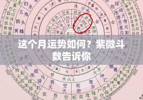 这个月运势如何？紫微斗数告诉你