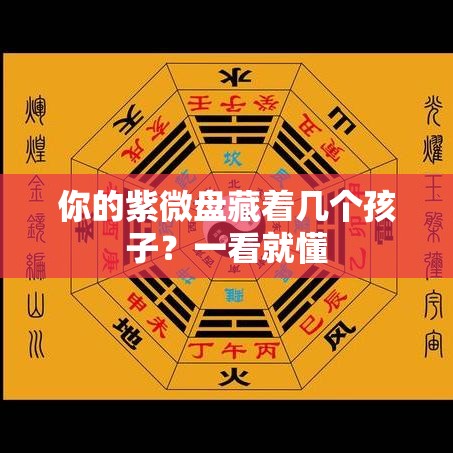 你的紫微盘藏着几个孩子？一看就懂