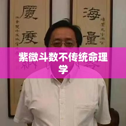 紫微斗数不传统命理学