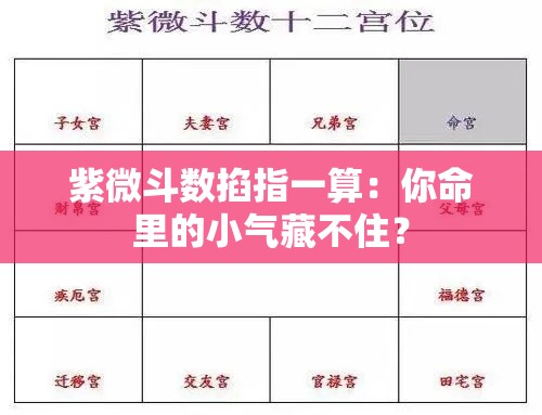 紫微斗数掐指一算：你命里的小气藏不住？