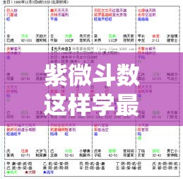 紫微斗数这样学最上手，网盘资源已备好