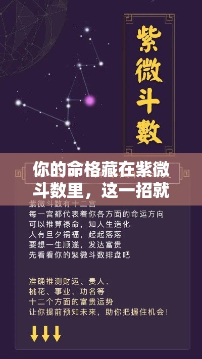 你的命格藏在紫微斗数里，这一招就能看透