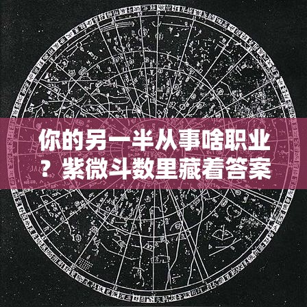 你的另一半从事啥职业？紫微斗数里藏着答案