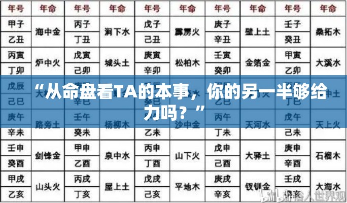 “从命盘看TA的本事，你的另一半够给力吗？”