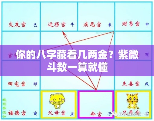 你的八字藏着几两金？紫微斗数一算就懂