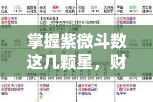 掌握紫微斗数这几颗星，财富之路不绕弯