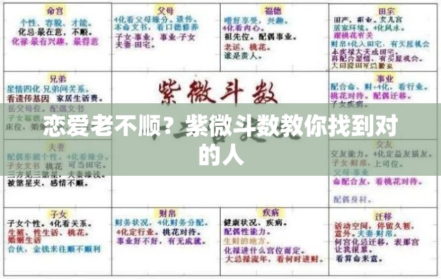 恋爱老不顺？紫微斗数教你找到对的人