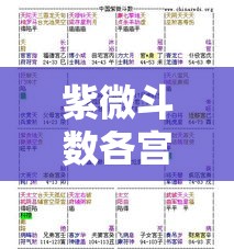 紫微斗数各宫位解析：你的运势藏在哪个宫？