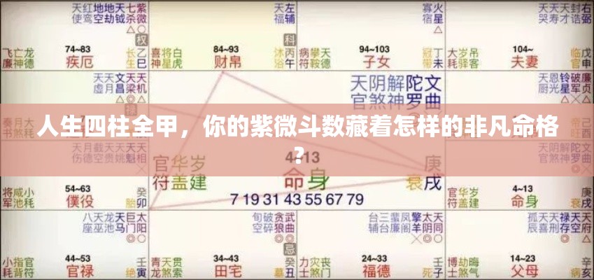 人生四柱全甲，你的紫微斗数藏着怎样的非凡命格？