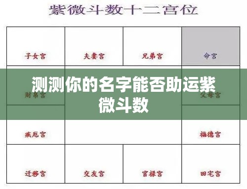 测测你的名字能否助运紫微斗数