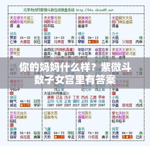 你的妈妈什么样？紫微斗数子女宫里有答案