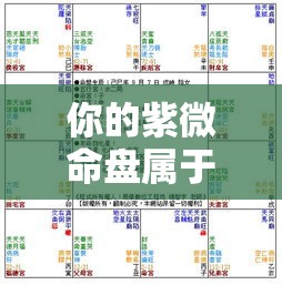 你的紫微命盘属于哪种层级？优劣格局一探便知