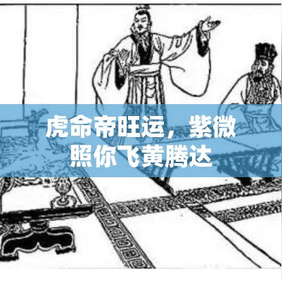 虎命帝旺运，紫微照你飞黄腾达