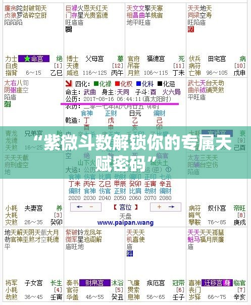 “紫微斗数解锁你的专属天赋密码”