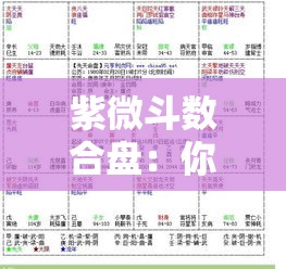 紫微斗数合盘：你们的姻缘分数有多高？