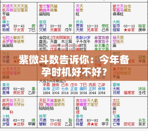 紫微斗数告诉你：今年备孕时机好不好？