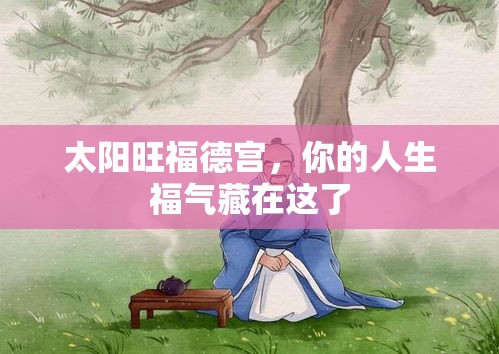 太阳旺福德宫，你的人生福气藏在这了