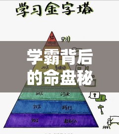 学霸背后的命盘秘密：紫微斗数看你的天生学习力