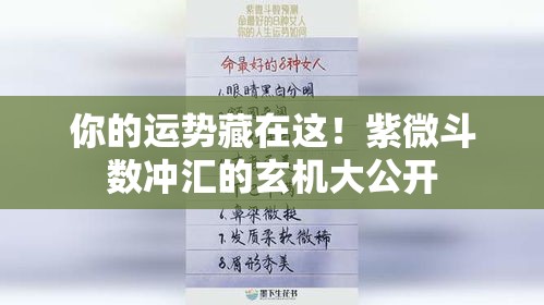 你的运势藏在这！紫微斗数冲汇的玄机大公开