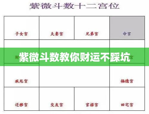紫微斗数教你财运不踩坑