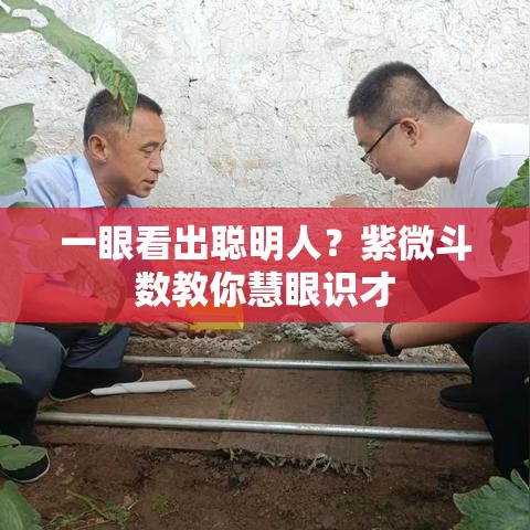 一眼看出聪明人？紫微斗数教你慧眼识才