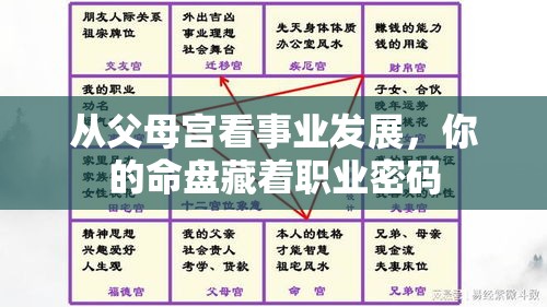 从父母宫看事业发展，你的命盘藏着职业密码