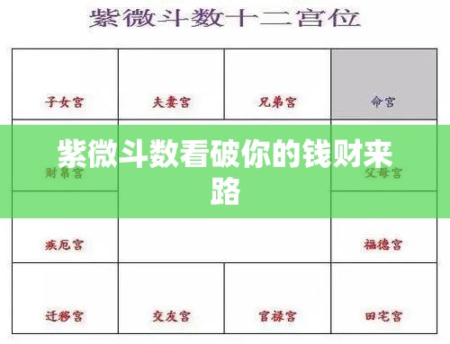 紫微斗数看破你的钱财来路